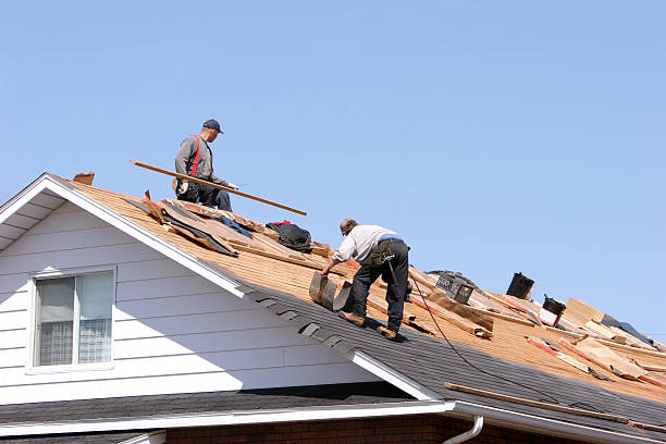 Best Steel Roofing  in Southchase, FL